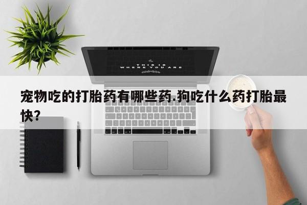 网上米非司酮打胎药官网宠物吃的打胎药有哪些药.狗吃什么药打胎最快？
