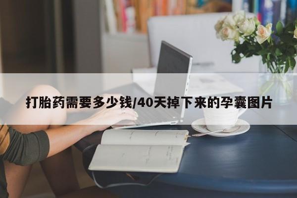 网上米非司酮打胎药官网打胎药需要多少钱/40天掉下来的孕囊图片